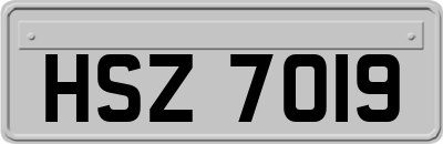 HSZ7019