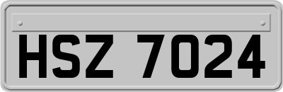 HSZ7024