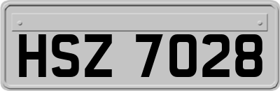 HSZ7028