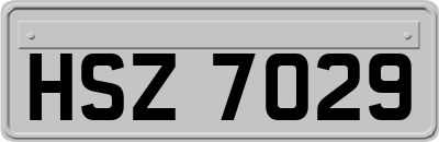 HSZ7029