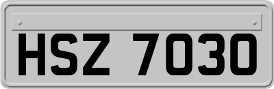 HSZ7030