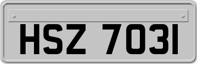 HSZ7031