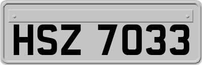 HSZ7033