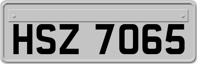 HSZ7065