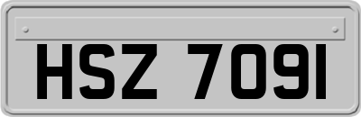 HSZ7091