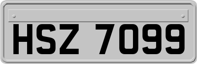 HSZ7099