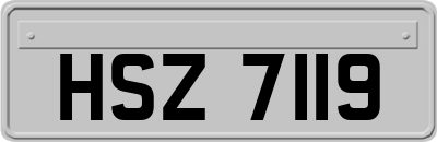 HSZ7119