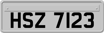 HSZ7123