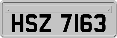 HSZ7163