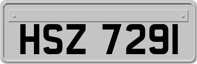 HSZ7291