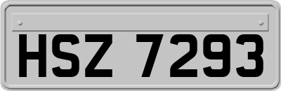 HSZ7293