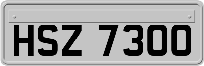 HSZ7300