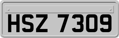 HSZ7309