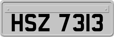 HSZ7313