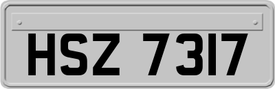 HSZ7317