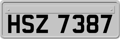 HSZ7387