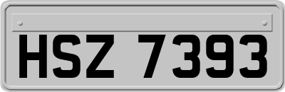 HSZ7393