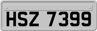 HSZ7399