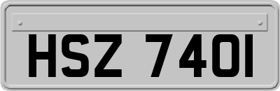 HSZ7401