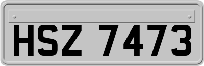 HSZ7473