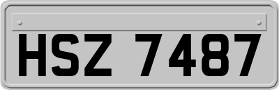 HSZ7487