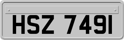 HSZ7491