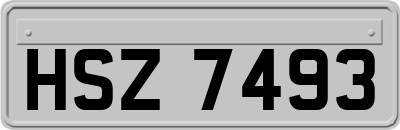 HSZ7493