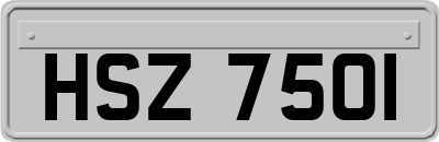 HSZ7501