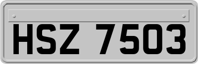 HSZ7503