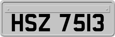 HSZ7513