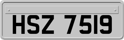 HSZ7519