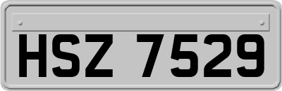 HSZ7529