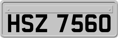 HSZ7560