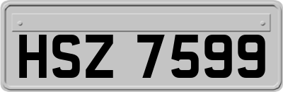 HSZ7599