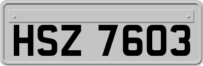 HSZ7603