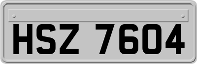 HSZ7604