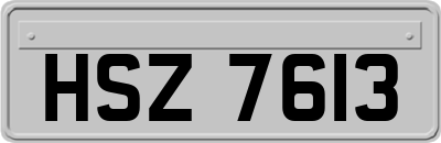 HSZ7613