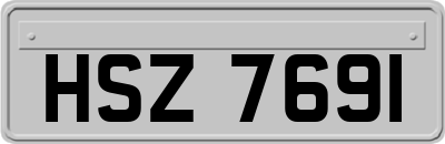 HSZ7691