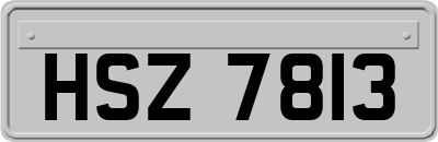 HSZ7813