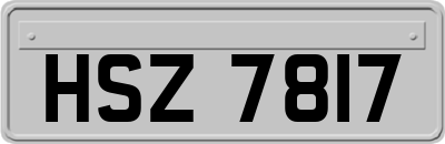 HSZ7817