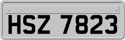 HSZ7823