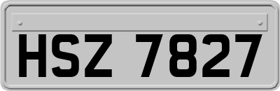 HSZ7827