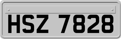 HSZ7828