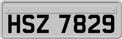 HSZ7829