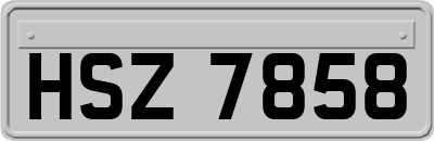 HSZ7858