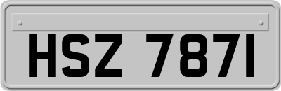 HSZ7871