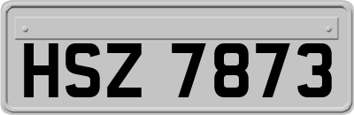 HSZ7873