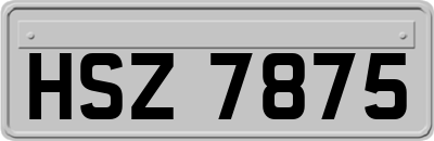 HSZ7875