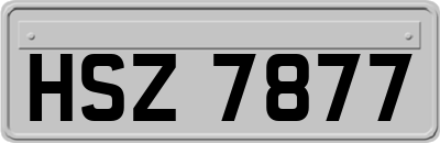 HSZ7877