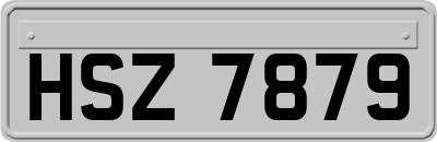 HSZ7879